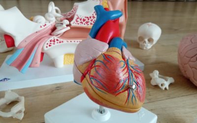 Začíná další kurz ZZA