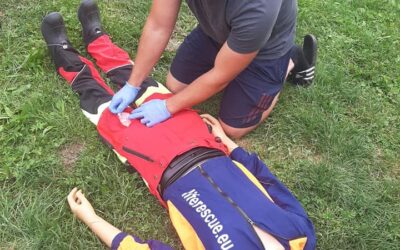 Pracovníci v lese i arboristé