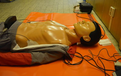 Záchranáři se vrátili na lesárnu